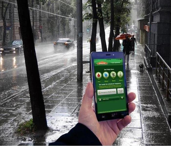 Hand holds a phone showing Emergency READY Profile on the screen. in the background is a rainy street