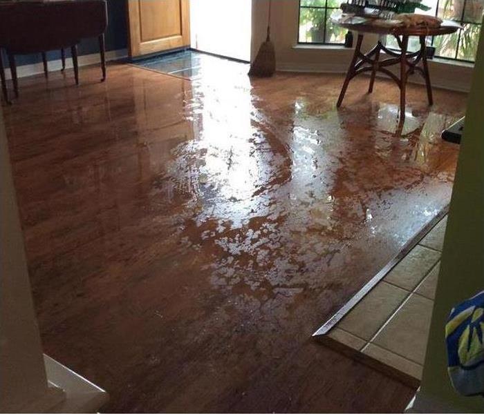 Leaked water on hardwood floor of living room 